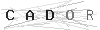 verify image