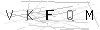 verify image